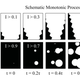 Las partes de una imagen que parecen borrosas en realidad contienen datos suficientes para reproducir varios frames de un sujeto en movimiento.
Foto: EPFL (The Optical Society)